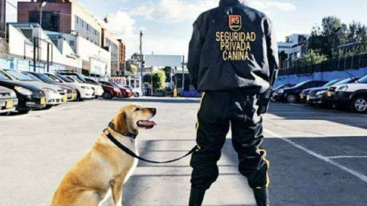 gobierno-vigilara-armamento-empresas-seguridad-privada