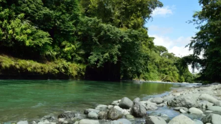 rio Mutata