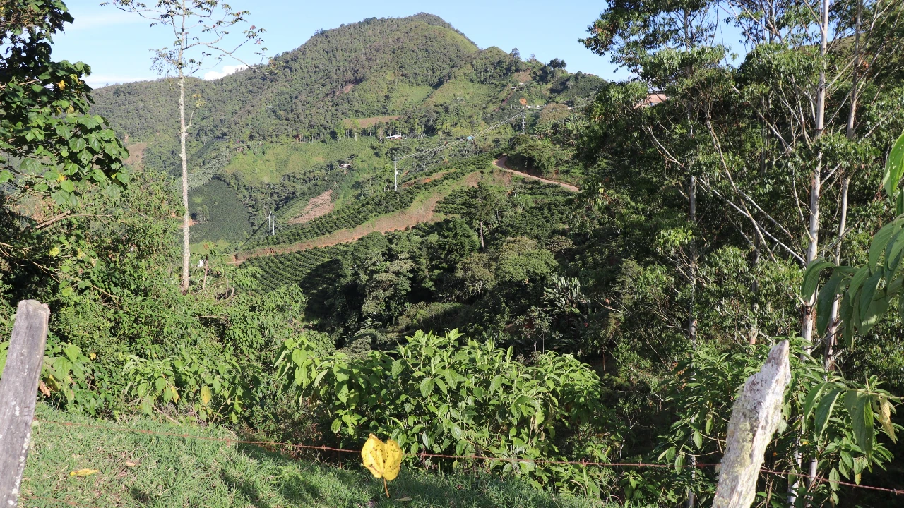 “Turbina financiera” impulsa el campo antioqueño con más de $40 mil millones en créditos 2 turbina-credito-antioquia-impulsa-crecimiento-agro