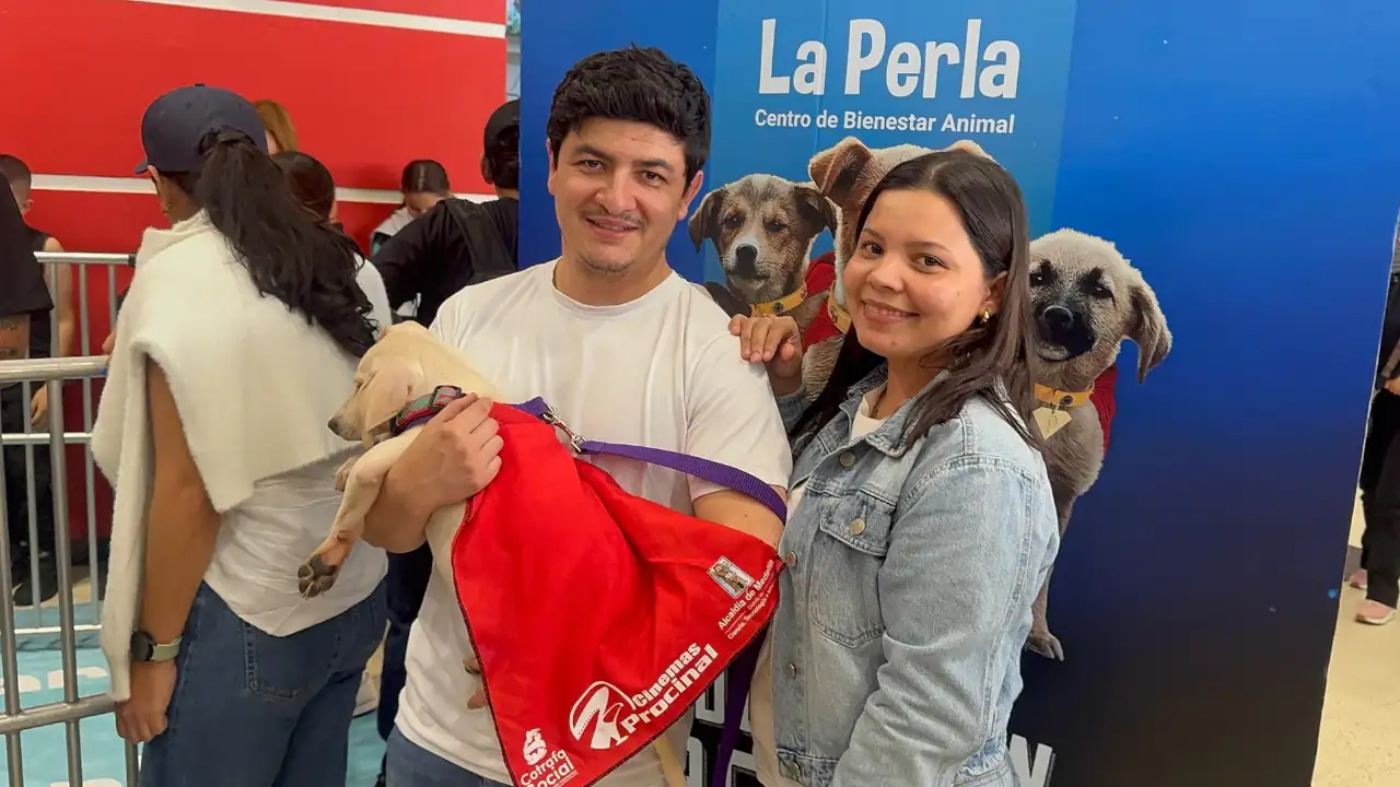 10 peluditos rescatados encontraron familia y muchos más están listos para llenar de amor un hogar