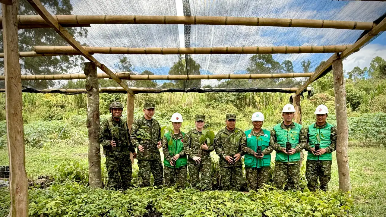 Ejército Nacional lidera siembra de más de 20.000 árboles en zonas afectadas por cultivos ilícitos