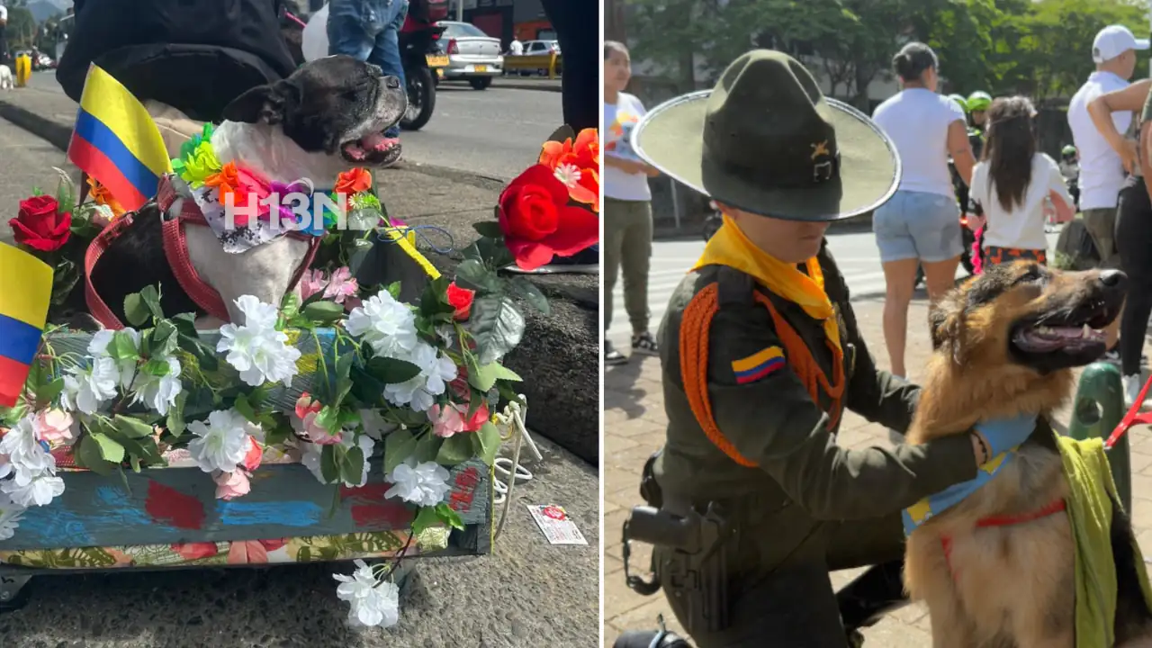 Miles de patitas recorrieron Medellín en la Caminata Canina de la Feria de las Flores 2025